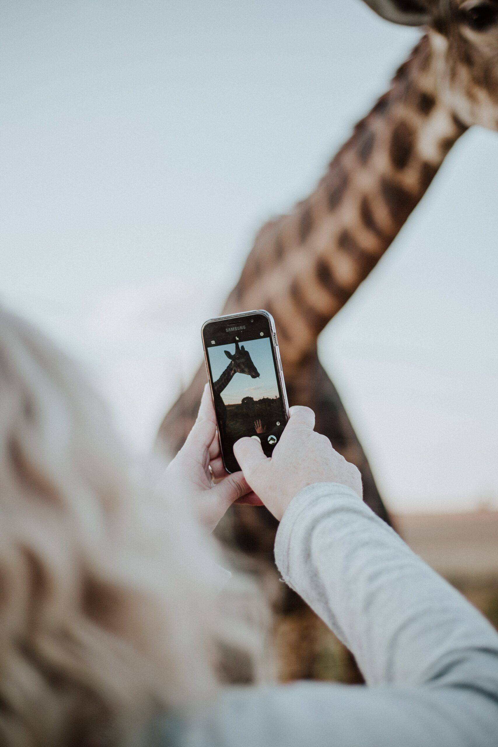 top-rated digital marketing services in Baltimore